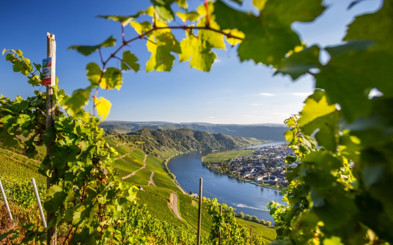 Flusskreuzfahrt Sommerauber An Rhein Mosel Und Saar