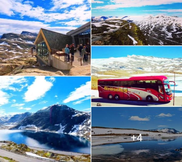 Traumreise - Norwegen vom Feinsten 2024 (1)