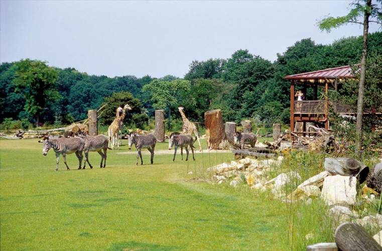 Ferienerlebnis Leipziger Zoo