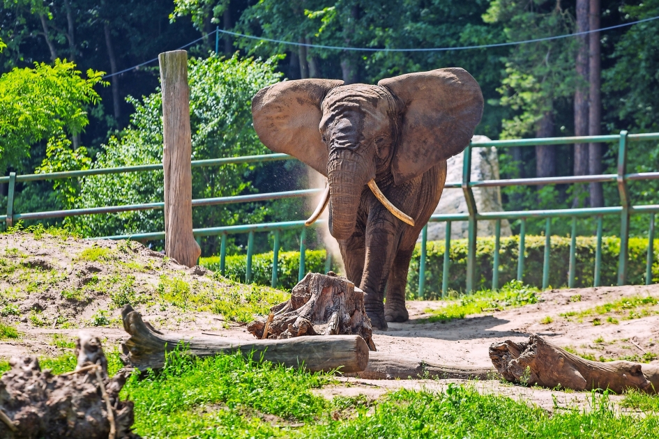 Ferientipp Zoo Erfurt